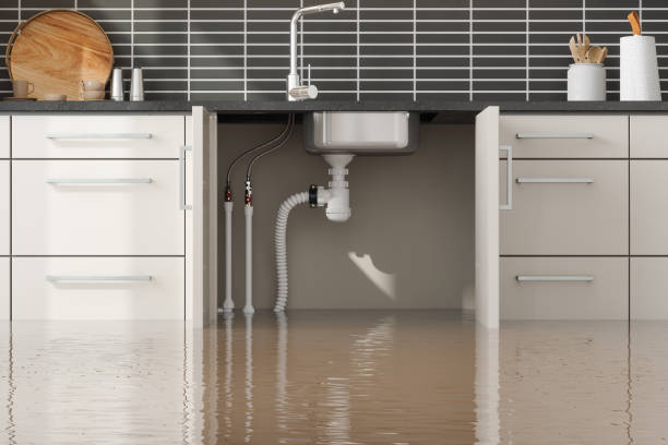 Professional Water damage restoration in University At Buffalo, NY